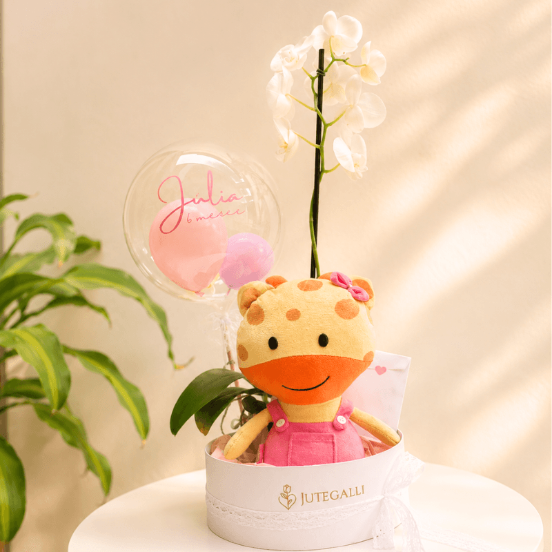 Imagem principal do produto Box Florescer